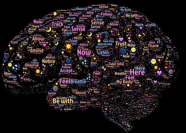 brain 998996 640
