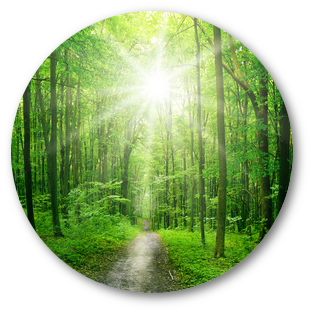 foret